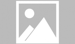 原神久岐忍最新爆料,神秘忍者，神秘力量，即将揭晓